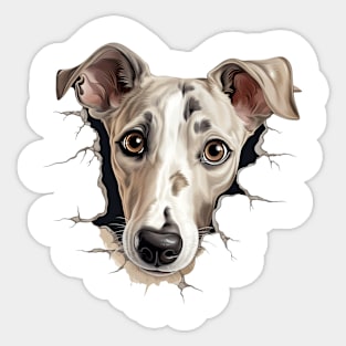 Baby Greyhound Dog Peeking Sticker